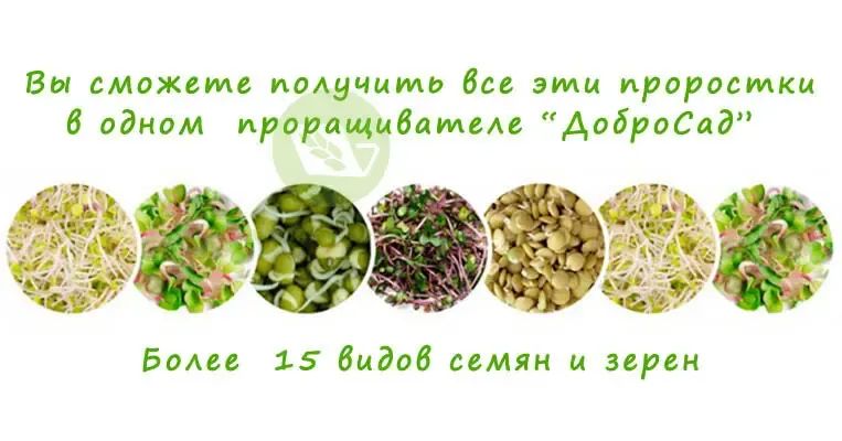 Автоматичний пророщувач насіння ДоброСад (з таймером)