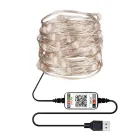 Новорічна розумна світлодіодна гірлянда Encora Xmas Lights, 100LED, 10М з керуванням через Bluetooth