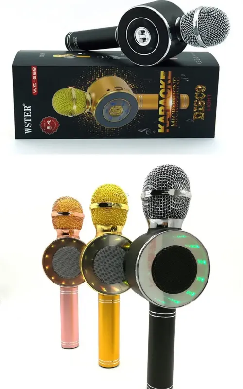 Караоке мікрофон Wster WS-669 бездротовий мікрофон із вбудованим динаміком