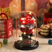 Букет у колбі з LED підсвічуванням (KR-03)