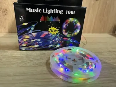 Гірлянда музична з динаміком USB 10 м