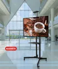 Кріплення для телевізора V-STAR TV CART 1500/8005 32"-70" для плазми до 27 кг