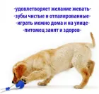 Багатофункціональна іграшка для собак канат на присоску з м'ячем