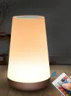 Нічник настільний світильник для дому акумуляторний Pat light HA-114 з пультом