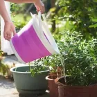 Складане силіконове відро 5л Collapsible Bucket
