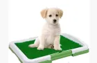 Туалет для собак Puppy Potty Pad MH-872